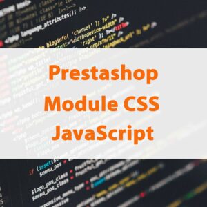 Prestashop : module de code CSS