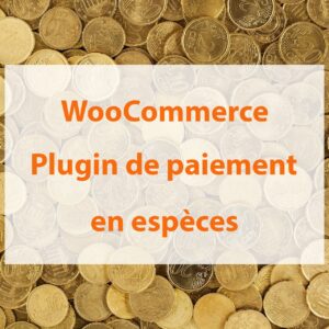 WooCommerce : plugin de paiement en espèces