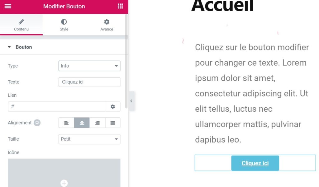 Gérer des pages WordPress avec Elementor 15 Un bouton call to action avec Elementor
